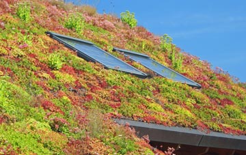 Thurston End living roof systems
