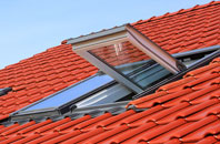 Thurston End roof window